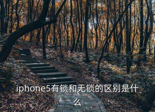 蘋果手機有鎖和無鎖的區別，蘋果有鎖和無鎖的區別