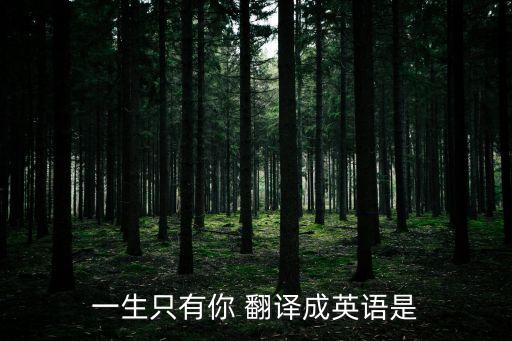 一生只有你，蔡小虎的歌一生只有你的空間鏈接
