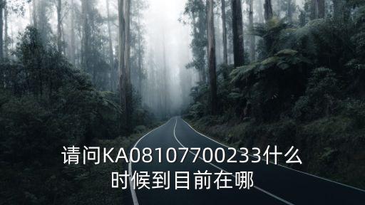 請問KA08107700233什么時候到目前在哪