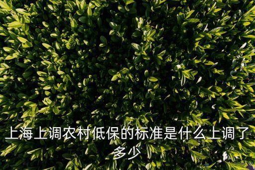 上海上調(diào)農(nóng)村低保的標(biāo)準(zhǔn)是什么上調(diào)了多少