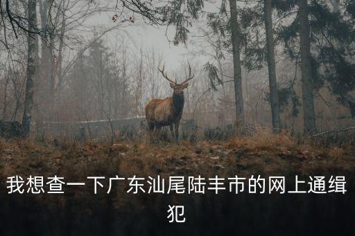 我想查一下廣東汕尾陸豐市的網上通緝犯
