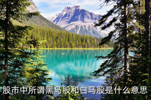 股票黑馬股，什么是黑馬股