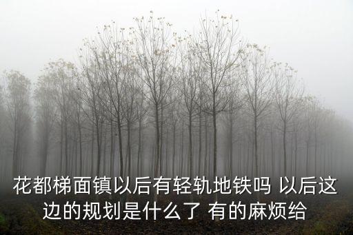 花都梯面鎮以后有輕軌地鐵嗎 以后這邊的規劃是什么了 有的麻煩給