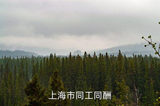 上海市同工同酬