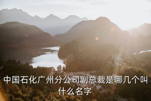 中國石化廣州分公司領(lǐng)導(dǎo)，中國石化最具有領(lǐng)導(dǎo)能力的帶頭人都有哪些