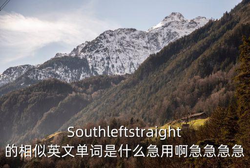 Southleftstraight的相似英文單詞是什么急用啊急急急急