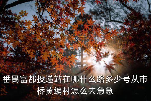 番禺富都投遞站在哪什么路多少號從市橋黃編村怎么去急急