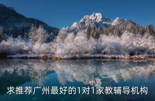 求推薦廣州最好的1對1家教輔導機構