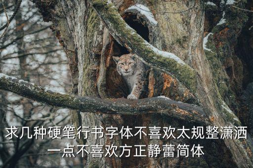 求幾種硬筆行書字體不喜歡太規整瀟灑一點不喜歡方正靜蕾簡體
