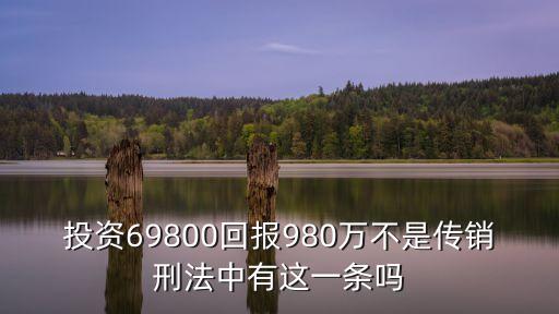 廣州元亨燃氣投資，有了解元亨祥程芳的朋友嗎他創辦的元亨祥怎么樣