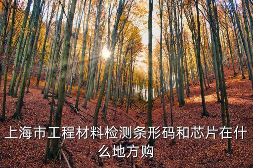 上海市試塊芯片在哪買，上海哪有賣TDA9370PSN21集成塊的