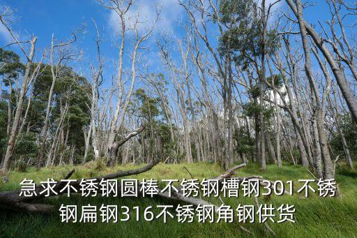 急求不銹鋼圓棒不銹鋼槽鋼301不銹鋼扁鋼316不銹鋼角鋼供貨
