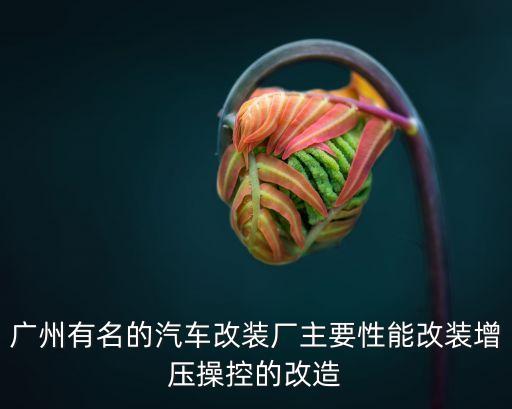 廣州有名的汽車改裝廠主要性能改裝增壓操控的改造