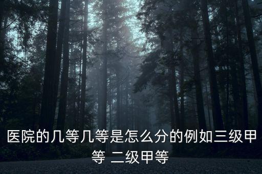 醫院的幾等幾等是怎么分的例如三級甲等 二級甲等