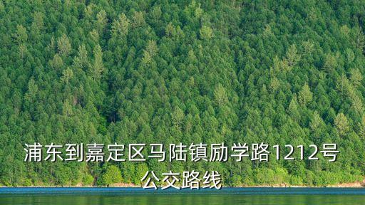 上海市勵學路，從青浦到嘉定馬陸鎮勵學路怎么走