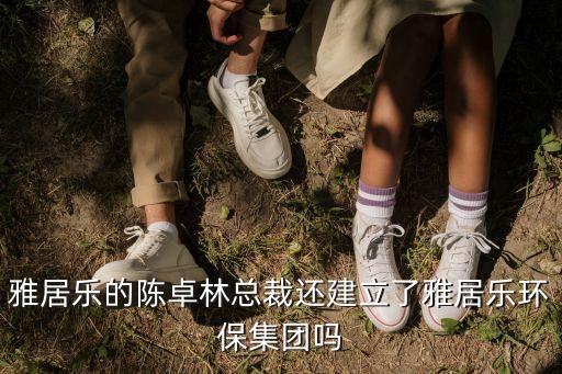 雅居樂的陳卓林總裁還建立了雅居樂環保集團嗎
