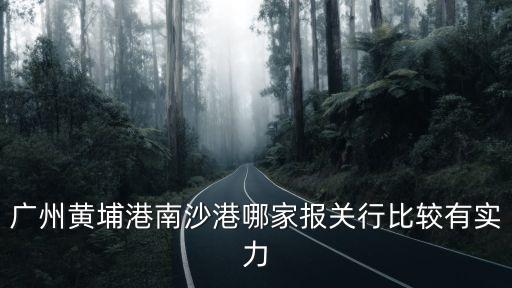 廣州實力的報關行有哪些，廣州報關公司最有實力的