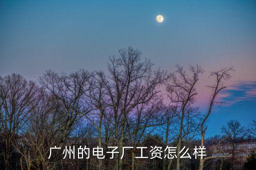 廣州的電子廠工資怎么樣