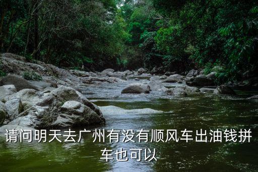 順風車到廣州怎么樣，有順風車到廣州的嗎