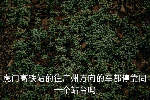 虎門到廣州的g6248?？繂?，G6248是不是到廣州南站