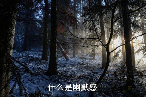 什么是幽默感