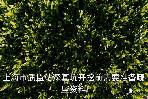 上海市施工基坑評審重點，上海市建設廳長貴姓