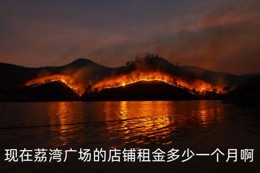 廣州增城荔灣廣場租金，增城新塘租單間或一房一廳大概要多少錢