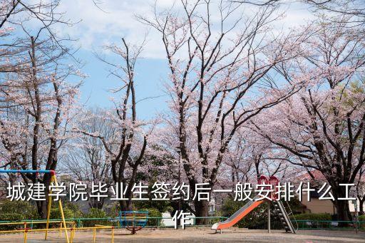 城建學院畢業生簽約后一般安排什么工作