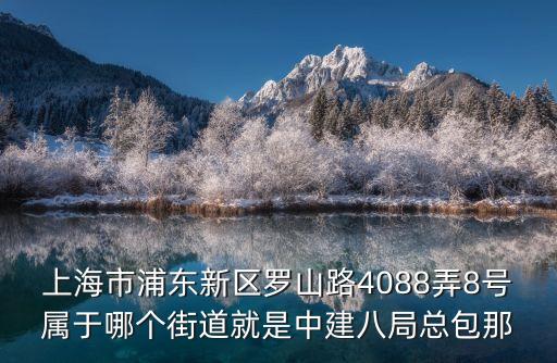 上海市羅山路108弄，上海市浦東新區(qū)羅山路4088弄8號屬于哪個街道就是中建八局總包那