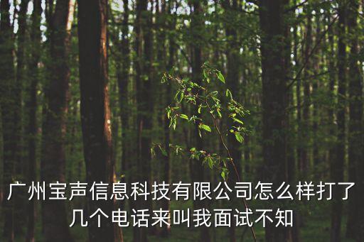 廣州寶聲信息科技有限公司怎么樣打了幾個電話來叫我面試不知