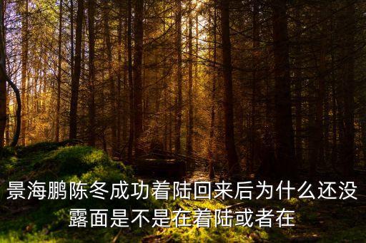 景海鵬陳冬成功著陸回來后為什么還沒露面是不是在著陸或者在