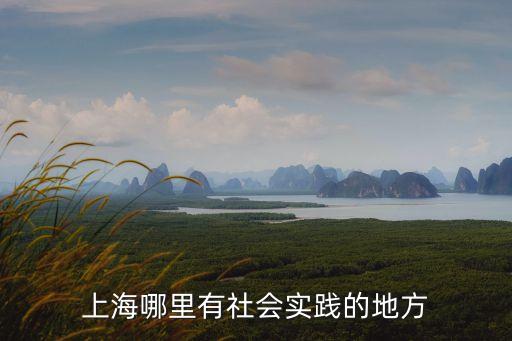 上海市社會實踐基地名單，西青區社會實踐基地有哪些