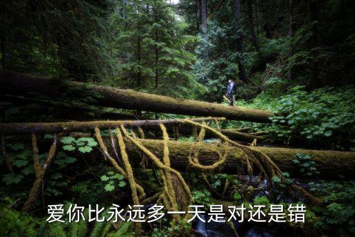愛你比永遠多一天，愛你比永遠多一天是對還是錯