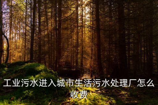 上海市污水處理廠收水標準，污水處理廠 取費標準