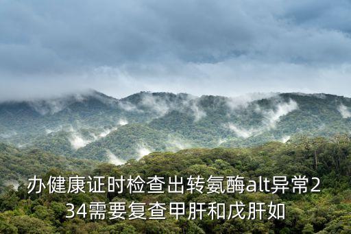 辦健康證時檢查出轉氨酶alt異常234需要復查甲肝和戊肝如