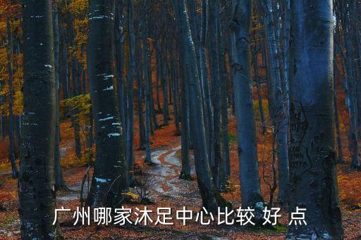廣州哪家沐足中心比較 好 點