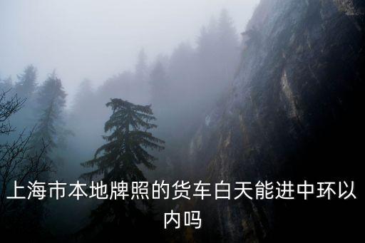 上海市本地牌照的貨車白天能進中環(huán)以內嗎