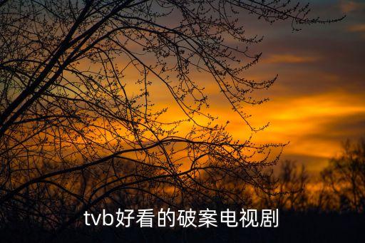 tvb好看的破案電視劇