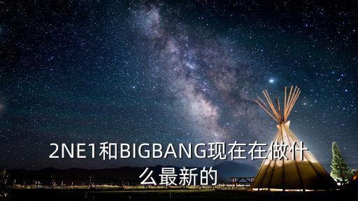 2NE1和BIGBANG現在在做什么最新的