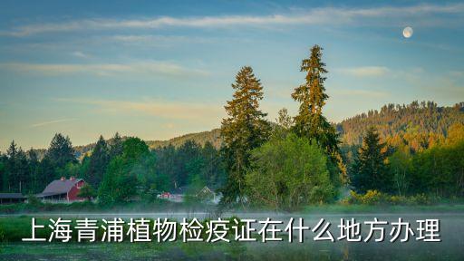 上海市青浦農(nóng)委，上海青浦植物檢疫證在什么地方辦理