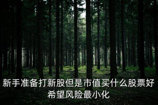 新手準備打新股但是市值買什么股票好希望風險最小化