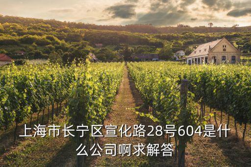 上海市長寧區(qū)宣化路28號604是什么公司啊求解答
