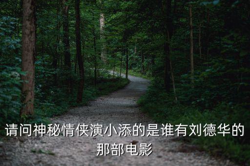 請問神秘情俠演小添的是誰有劉德華的那部電影