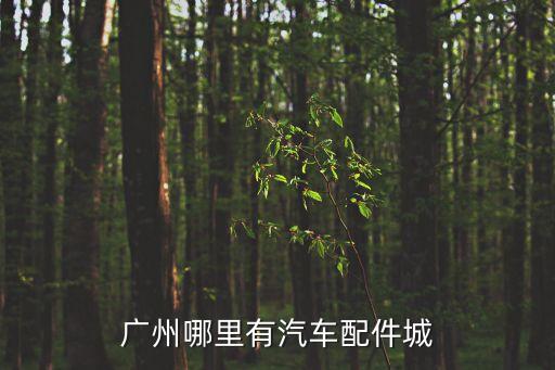 廣州哪里有汽車(chē)配件城