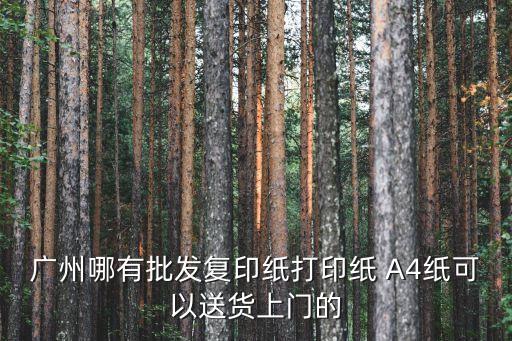 廣州哪有批發復印紙打印紙 A4紙可以送貨上門的