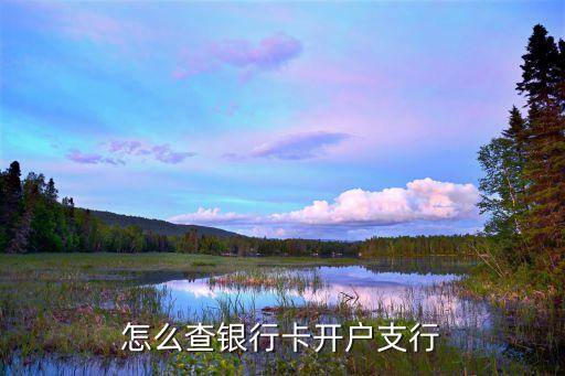 怎么查銀行支行，如何查銀行卡支行號(hào)碼