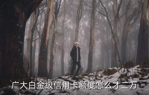 廣大白金級信用卡額度怎么才二萬