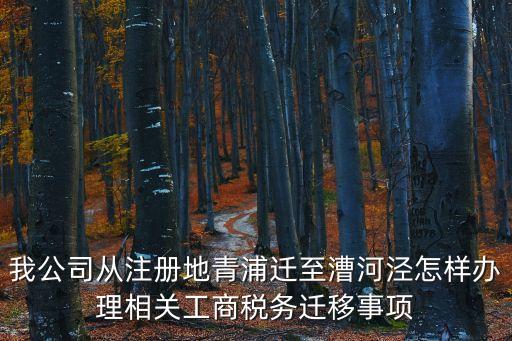 我公司從注冊地青浦遷至漕河涇怎樣辦理相關工商稅務遷移事項