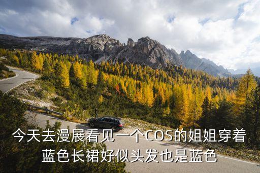 今天去漫展看見一個COS的姐姐穿著藍色長裙好似頭發也是藍色