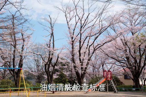 上海市排油煙設施清洗標準，清洗煙機煙道行業標準